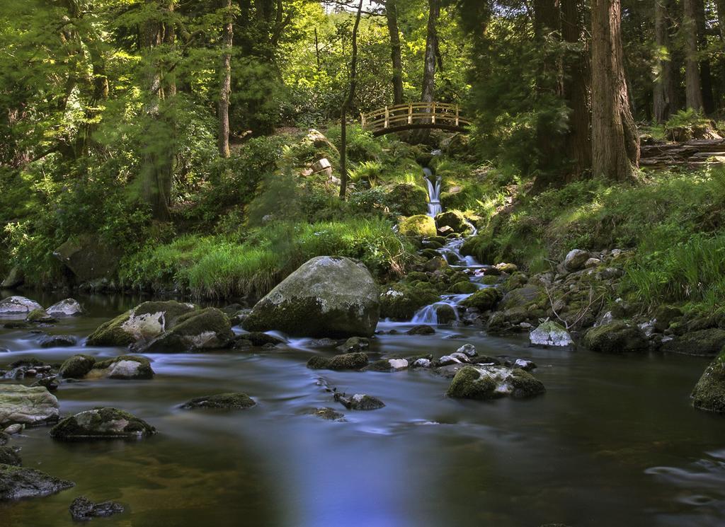 Ballyteige Lodge Ballyteige Bridge Экстерьер фото