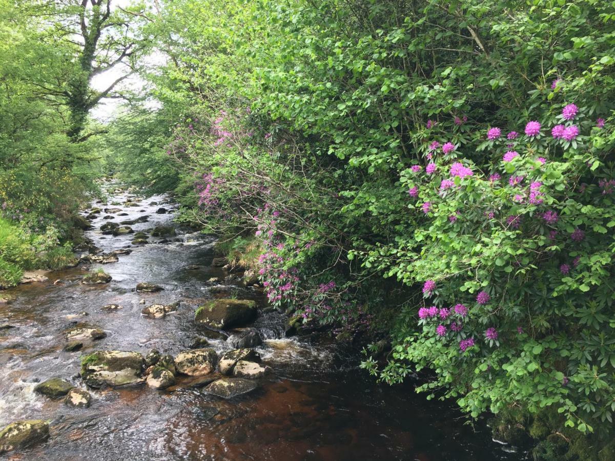 Ballyteige Lodge Ballyteige Bridge Экстерьер фото